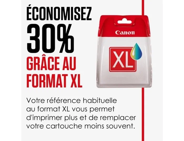 Canon PGI-580PGBKXXL Negro XXL