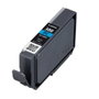Canon PFI-300 PC Cian Foto 4197C001