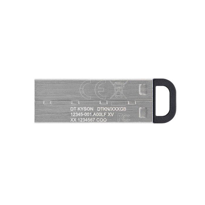 Kingston DataTraveler Kyson 128 GB Plata