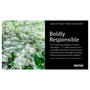 Xerox 106R03474 Tóner Magenta Estándar para Phaser 6510 y WorkCentre 6515