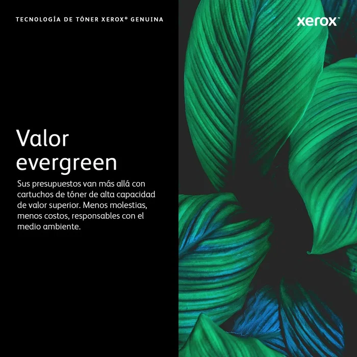 Xerox Unidad de tambor negra VersaLink C50x 108R01484