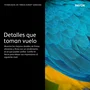 Xerox Unidad de tambor Magenta para VersaLink C500 y C505