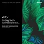 Xerox Unidad de tambor Magenta para VersaLink C500 y C505