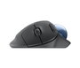 Logitech ERGO M575 Trackball Ergonómico Inalámbrico para Negocios con Bola de Seguimiento para el Pulgar, Conectividad Logi Bolt y Alta Durabilidad