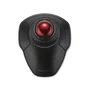 Ratón Inalámbrico Kensington K70992WW Negro 1600 dpi
