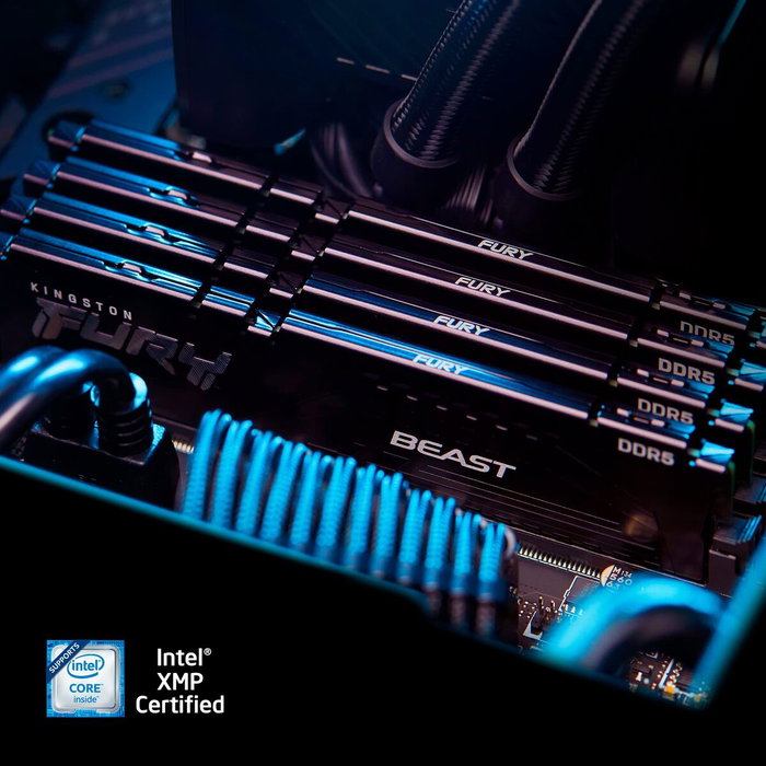 Kingston FURY Beast 16 GB DDR5 5200 MHz CL40 Negro Kingston FURY Beast 16 GB DDR5 5200 MHz CL40 Negro