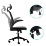 Urban Factory Silla Ergonómica de Oficina con Asiento Inflable y Respaldo de Rejilla - Ajustable en Altura, con Reposacabezas y Reposabrazos - Negro
