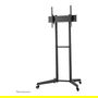 Newstar Neomounts Soporte de Suelo para TV FL50-540BL1, Negro, Acero, para Pantallas de 37 a 70 Pulgadas, Capacidad 50 kg, Base con Ruedas, Gestión de Cables