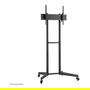 Newstar Neomounts Soporte de Suelo para TV FL50-540BL1, Negro, Acero, para Pantallas de 37 a 70 Pulgadas, Capacidad 50 kg, Base con Ruedas, Gestión de Cables