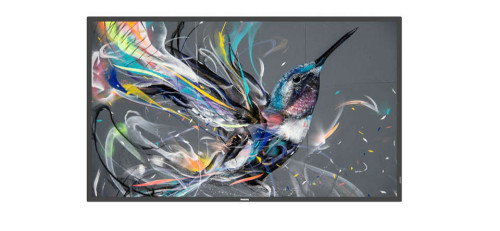 Philips 50BDL3511Q/00 Monitor 50 pulgadas 4K UHD VA Negro Philips 50BDL3511Q/00 Monitor 50 pulgadas 4K UHD VA Negro