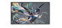 Philips 50BDL3511Q/00 Monitor 50 pulgadas 4K UHD VA Negro