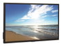 NEC MultiSync M321 Pantalla de Señalización Digital 32 pulgadas Full HD IPS Negro