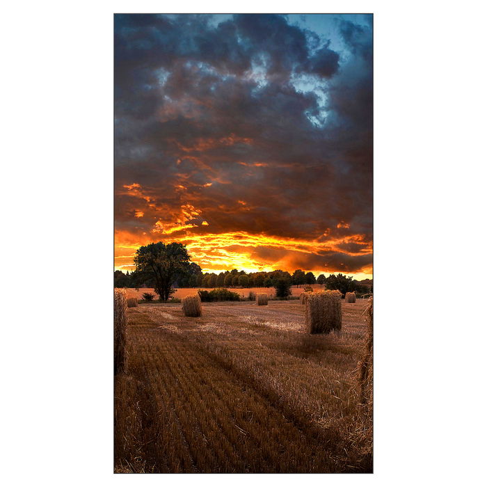 Samsung Smart Signage VM46B-U Pantalla LCD de 116.80cm(46") Full HD 1920 x 1080