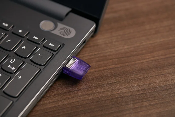 Kingston DataTraveler microDuo 3C 256 GB