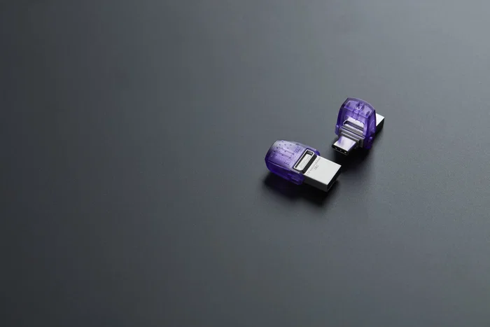 Kingston DataTraveler microDuo 3C 256 GB