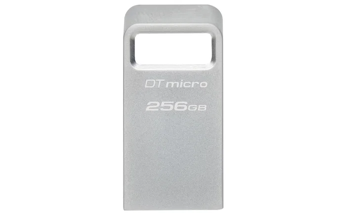 Kingston DataTraveler Micro DTMC3G2/256GB 256GB Plata