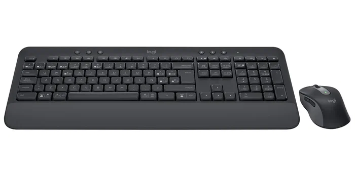 Logitech Signature MK650 for Business Combo de Teclado y Ratón, Grafito, QWERTY Español