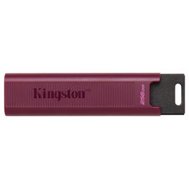 Kingston DataTraveler 256GB USB 3.2 Stick Negro