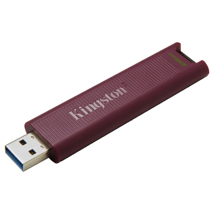 Kingston DataTraveler 256GB USB 3.2 Stick Negro