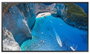 Samsung LH75OMAEBGB Pantalla de señalización digital 75 pulg. 4K Ultra HD