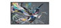 Philips 43BDL3511Q/00 Monitor de Señalización 43 pulgadas 4K Ultra HD IPS