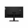 Lenovo ThinkVision T24m-29 23.8 Full HD IPS Black