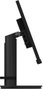 Lenovo ThinkVision T24m-29 23.8 Full HD IPS Black