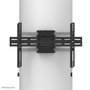 Newstar Soporte de TV de columna fijo WL30S-910BL16 para 40-75 pulgadas