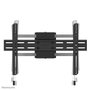 Newstar Soporte de TV de columna fijo WL30S-910BL16 para 40-75 pulgadas