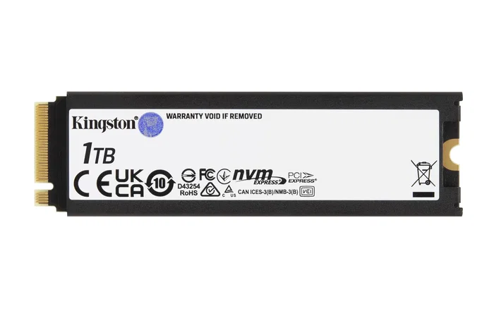 Kingston FURY Renegade 1 TB M.2 2280 PCIe 4.0 NVMe SSD con Disipador