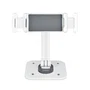 StarTech Soporte Ajustable para Tablet ADJ-TABLET-STAND-W Blanco