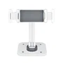 StartTech ADJ-TABLET-STAND-W Soporte de Tablet Ajustable Ergonómico para Sobremesa o Pared - Giro, Rotación e Inclinación - Compatible con iPad, Galaxy Tab y Tablets de hasta 12.9"