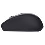 Trust TM-201 Ratón Inalámbrico 1600 DPI Negro