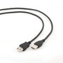 Gembird Cable de Extensión USB 2.0 de 3m Tipo A Macho a Hembra Negro