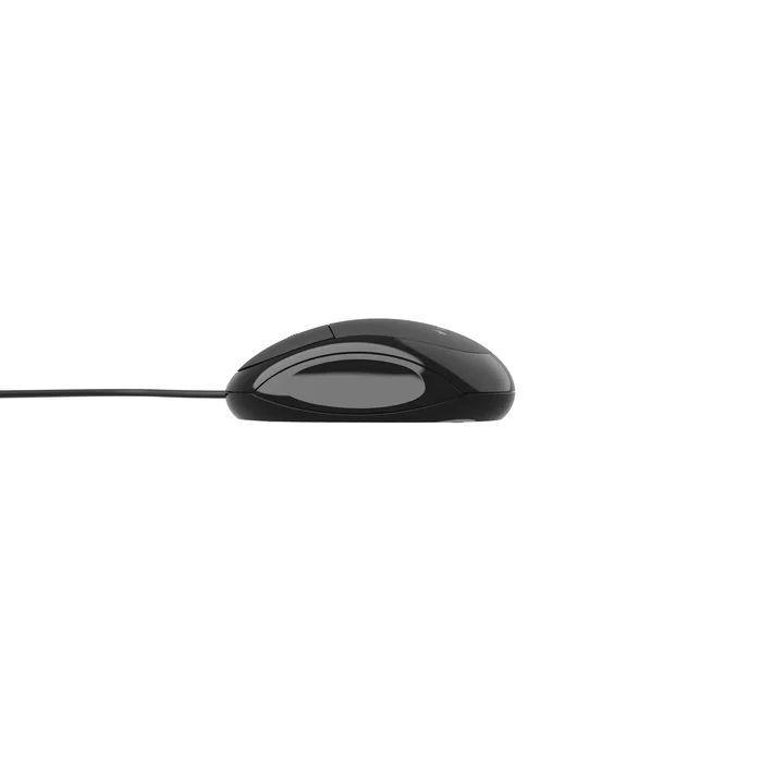Gembird Ratón Óptico USB Ambidiestro MUS-U-01, 1000 DPI, 3 Botones con Rueda de Desplazamiento, Negro, Plug & Play para PC y Portátil