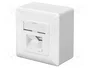 DIGITUS Enchufe de pared CAT 6 con 2 tomas RJ45 blanco puro DN-9006-N