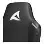 Sharkoon SKILLER SGS40 Silla Gaming Negra con Reposabrazos 4D