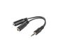 Lanberg Adaptador Audio Jack Macho a 2x Jack Hembra 3.5mm Negro 0.10m
