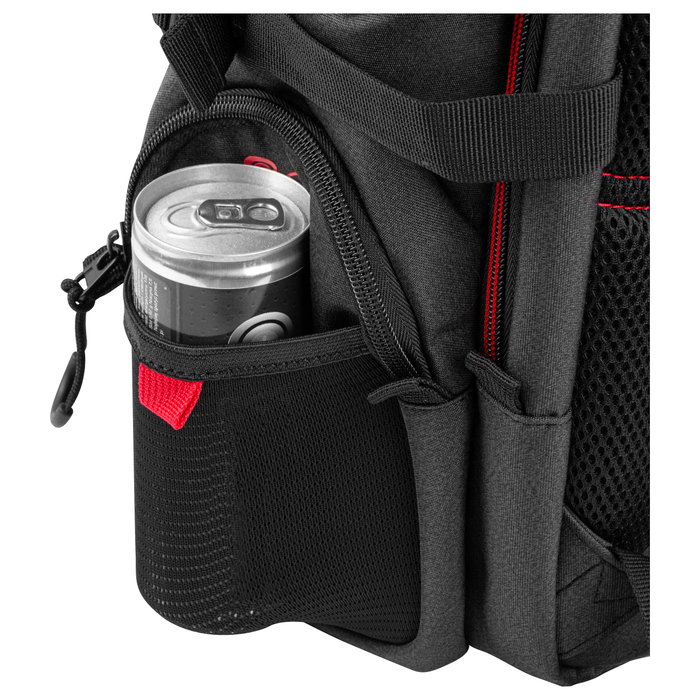 GENESIS Pallad 550 Mochila para Portátil 17.3 pulg, Negro, Rojo