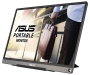 Asus ZenScreen MB16ACE Monitor Portátil 15.6 Full HD Gris