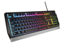 GENESIS NKG-1817 Teclado Gaming USB QWERTY Portugués Completo Membrana Retroiluminado