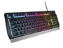 Genesis NKG-1817 Teclado Gaming Completo USB Portugués QWERTY Retroiluminado RGB Interruptor Membrana