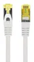 Lanberg Cable de Red Cat6a S/FTP 3 m Gris