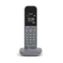 Gigaset CL390 Teléfono Inalámbrico Gris