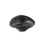 Natec Blackbird 2 Ratón Inalámbrico Ergonómico Negro