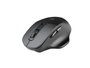 Natec Ratón Blackbird 2 Inalámbrico Silencioso Óptico 1600 DPI Negro