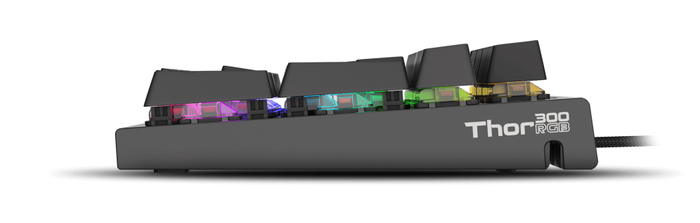 GENESIS THOR 300 Teclado Gaming Mecánico USB con Interruptores Outemu Red RGB, Distribución QWERTY Portugués de 104 Teclas, Negro