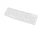 Natec NKL-1949 Teclado de Membrana QWERTY Español Blanco