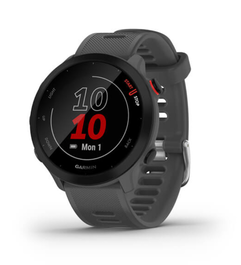 Garmin 010-02562-13 Reloj Inteligente Deportivo con Pantalla MIP de 42 mm, GPS, Banda de Silicona Gris