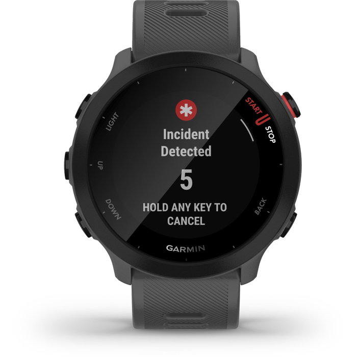 Garmin Forerunner 55 Gris